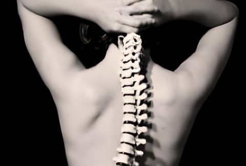 freepik__spinal-column-superimposed-over-nude-body__15301