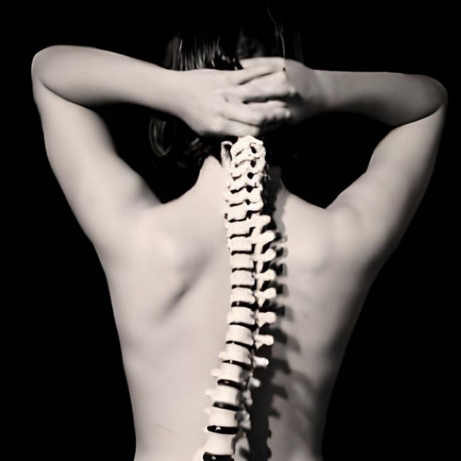 freepik__spinal-column-superimposed-over-nude-body__15301