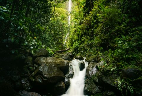peter-vanosdall-jhFabt6zfuI-unsplash